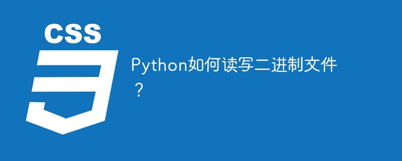 Python如何读写二进制文件？