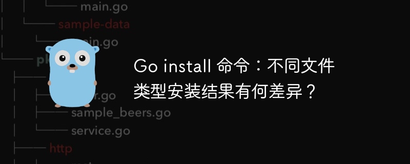 Go install 命令：不同文件类型安装结果有何差异？