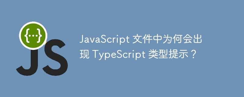 JavaScript 文件中为何会出现 TypeScript 类型提示？