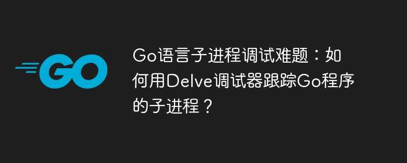 Go语言子进程调试难题：如何用Delve调试器跟踪Go程序的子进程？