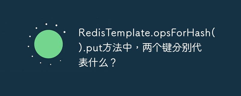 RedisTemplate.opsForHash().put方法中，两个键分别代表什么？