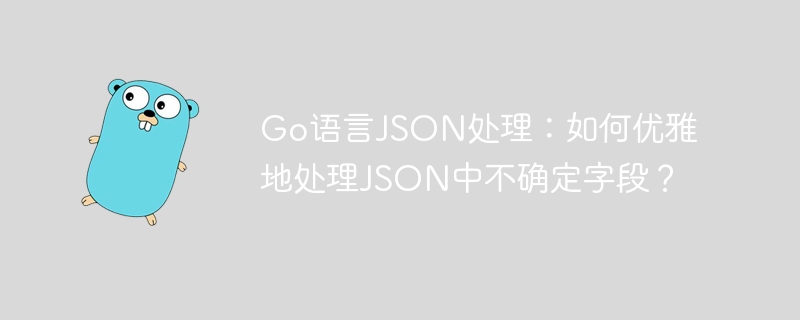 Go语言JSON处理：如何优雅地处理JSON中不确定字段？