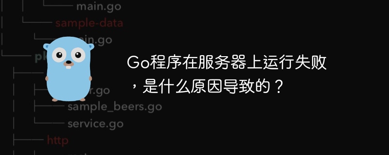 Go程序在服务器上运行失败，是什么原因导致的？