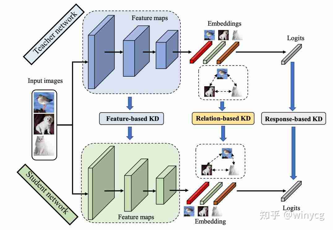 Springer知识蒸馏专著解读 | 面向图像识别的知识蒸馏综述