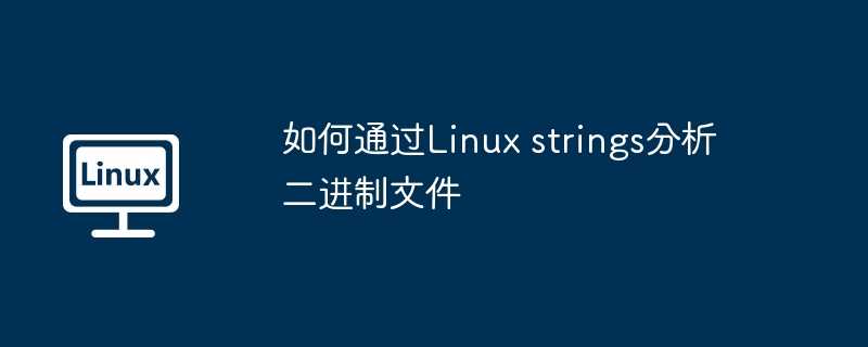 如何通过Linux strings分析二进制文件