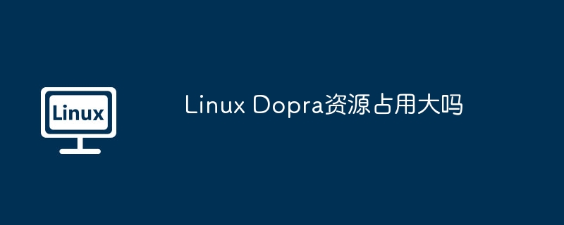 Linux Dopra资源占用大吗