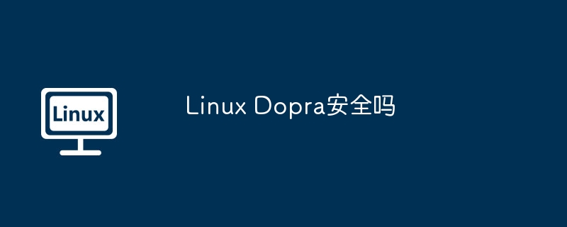 Linux Dopra安全吗