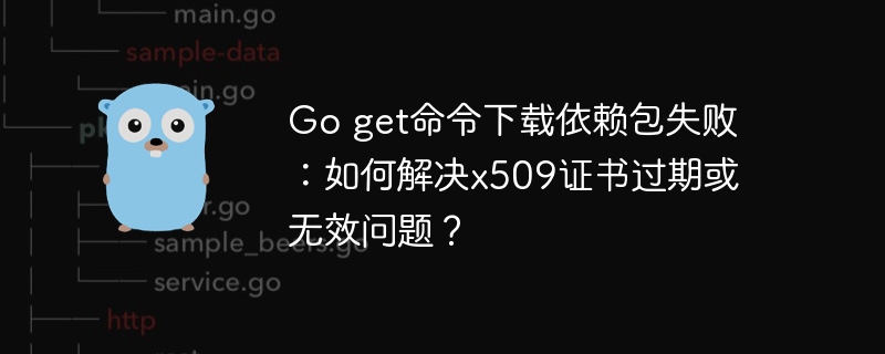 Go get命令下载依赖包失败：如何解决x509证书过期或无效问题？