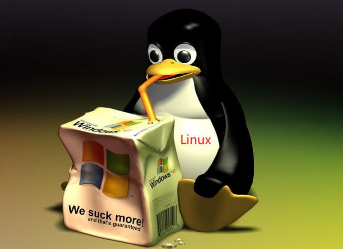 Linux服务器安全加固策略，防范网络威胁