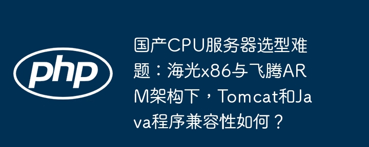 国产CPU服务器选型难题：海光x86与飞腾ARM架构下，Tomcat和Java程序兼容性如何？