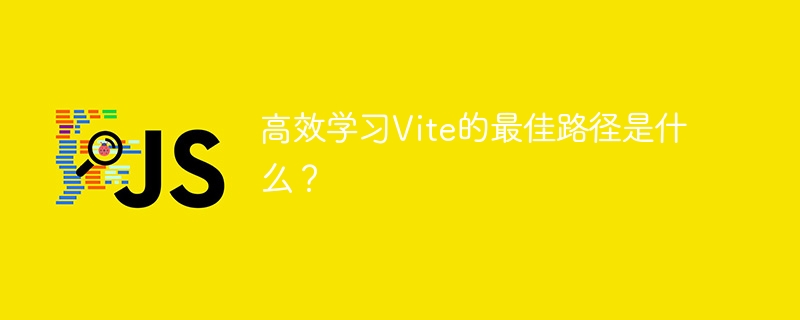 高效学习Vite的最佳路径是什么？