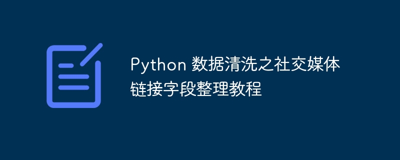 Python 数据清洗之社交媒体链接字段整理教程