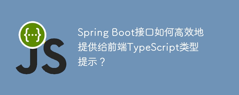 Spring Boot接口如何高效地提供给前端TypeScript类型提示？