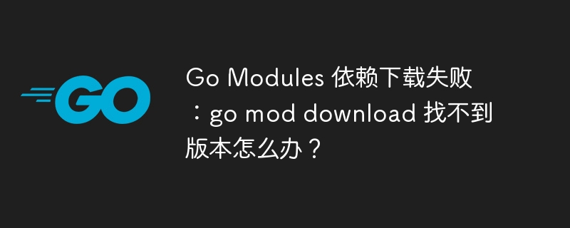 Go Modules 依赖下载失败：go mod download 找不到版本怎么办？