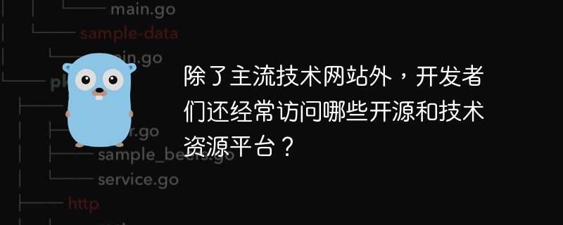 除了主流技术网站外，开发者们还经常访问哪些开源和技术资源平台？