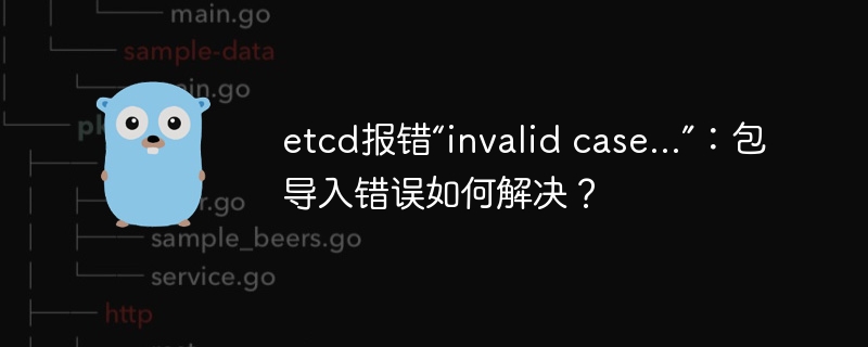 etcd报错“invalid case...”：包导入错误如何解决？