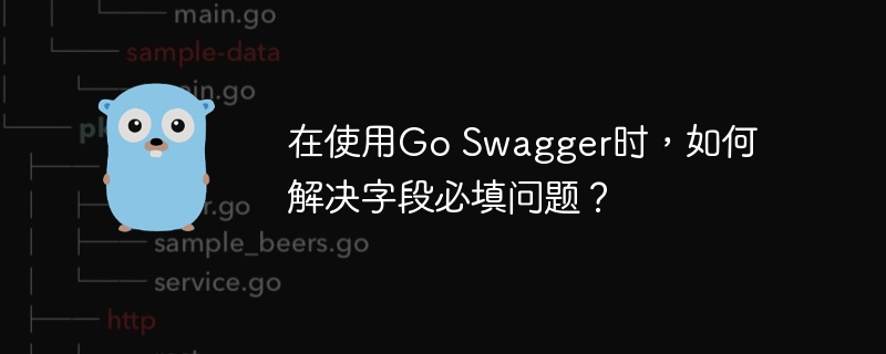 在使用Go Swagger时，如何解决字段必填问题？