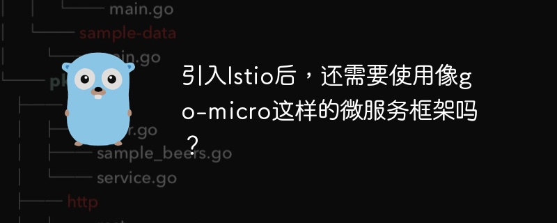 引入Istio后，还需要使用像go-micro这样的微服务框架吗？