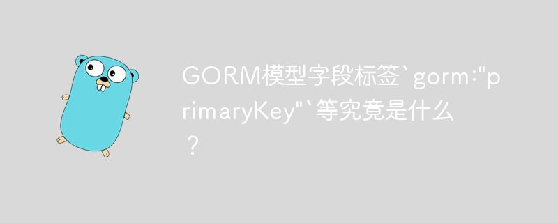 GORM模型字段标签`gorm: