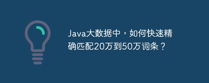 Java大数据中，如何快速精确匹配20万到50万词条？