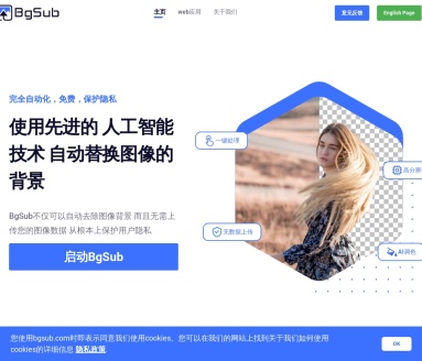 BgSub：免费AI智能抠图工具，一键去除和替换背景