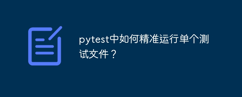 pytest中如何精准运行单个测试文件？