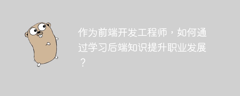 作为前端开发工程师，如何通过学习后端知识提升职业发展？
