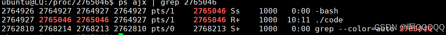 Linux系统编程:理解进程/进程管理