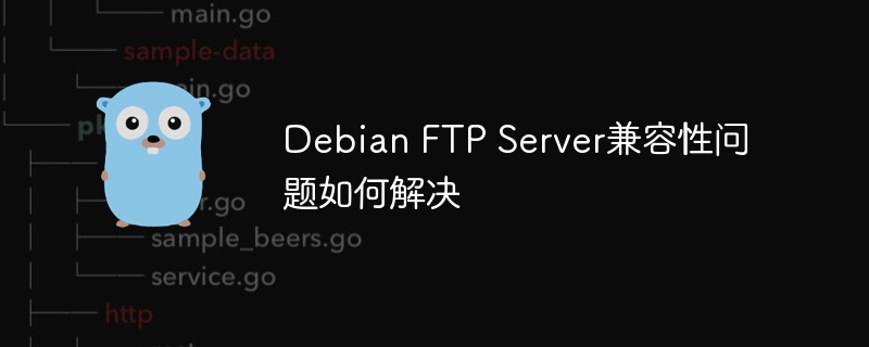 Debian FTP Server兼容性问题如何解决