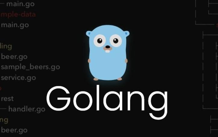 在 Go 语言项目中，怎样有效管理第三方依赖版本冲突问题？