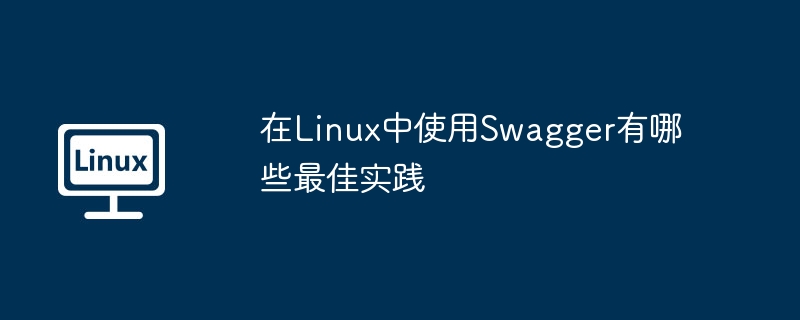 在Linux中使用Swagger有哪些最佳实践