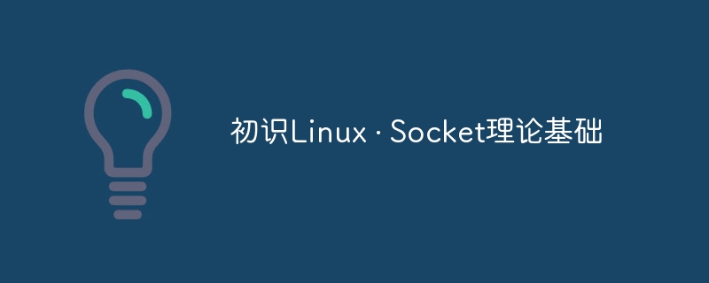 初识Linux · Socket理论基础