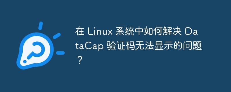 在 Linux 系统中如何解决 DataCap 验证码无法显示的问题？