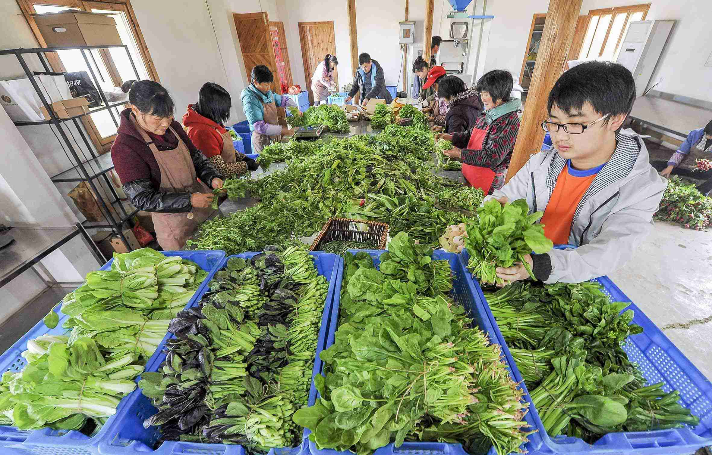 蔬菜配送APP开发怎么做？同城配送APP怎么经营_解决方案