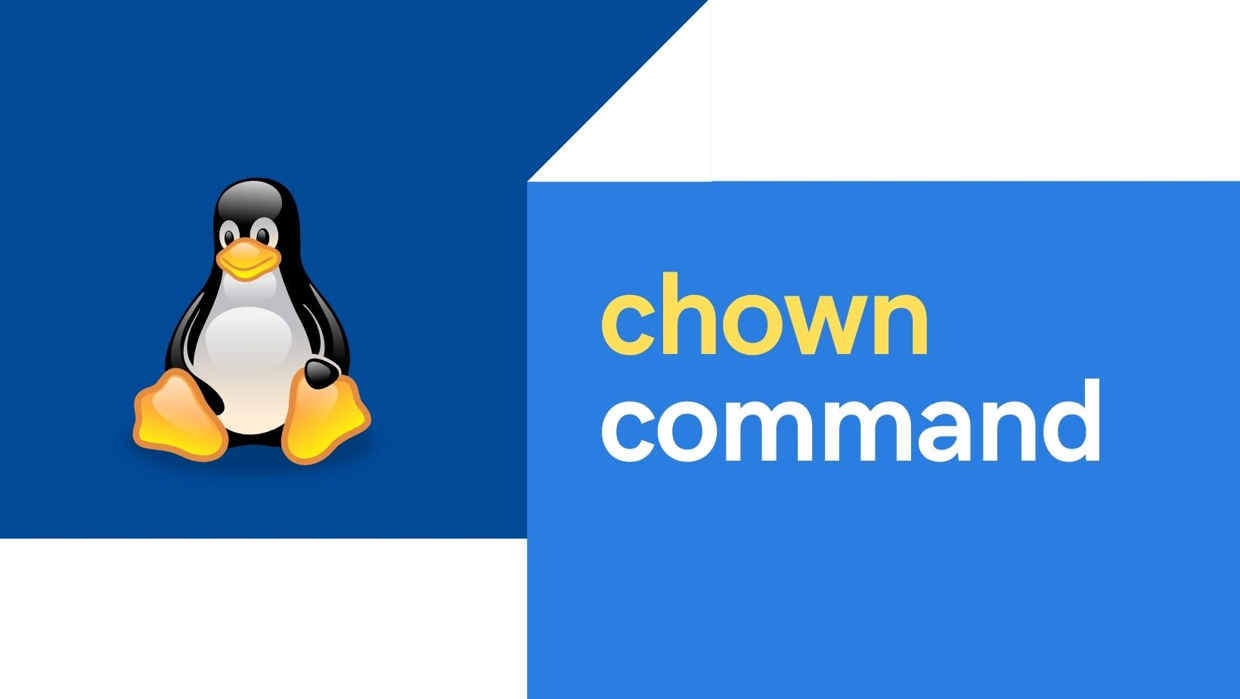 Linux更改文件和目录的所有权经常使用的命令：chown 和 chgrp
