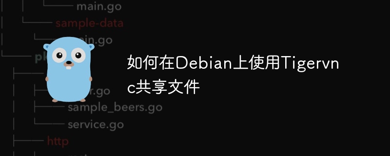 如何在Debian上使用Tigervnc共享文件
