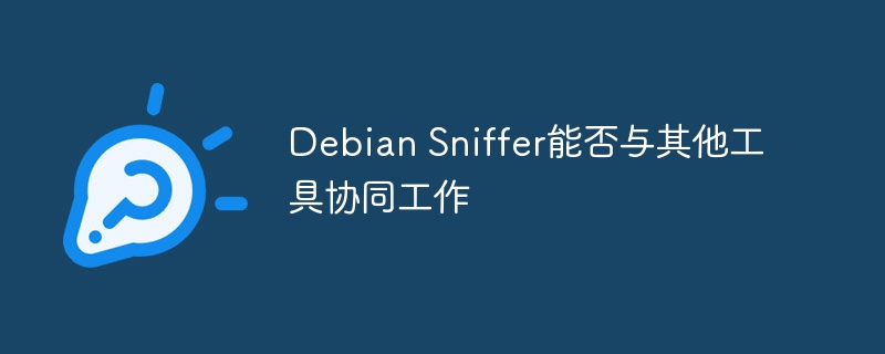 Debian Sniffer能否与其他工具协同工作