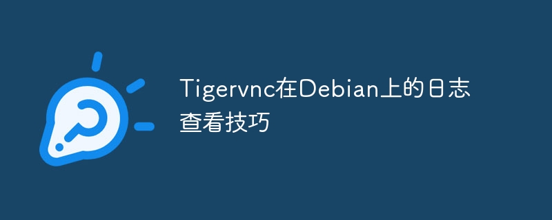 Tigervnc在Debian上的日志查看技巧