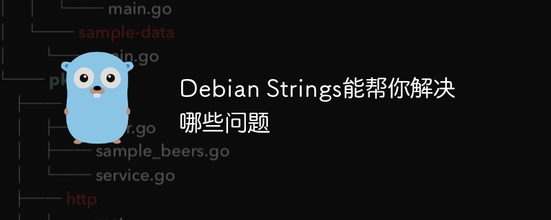 Debian Strings能帮你解决哪些问题