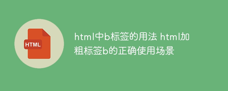 html中b标签的用法 html加粗标签b的正确使用场景