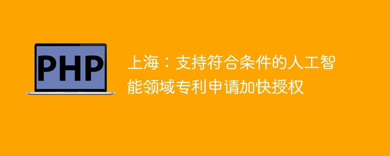 上海：支持符合条件的人工智能领域专利申请加快授权