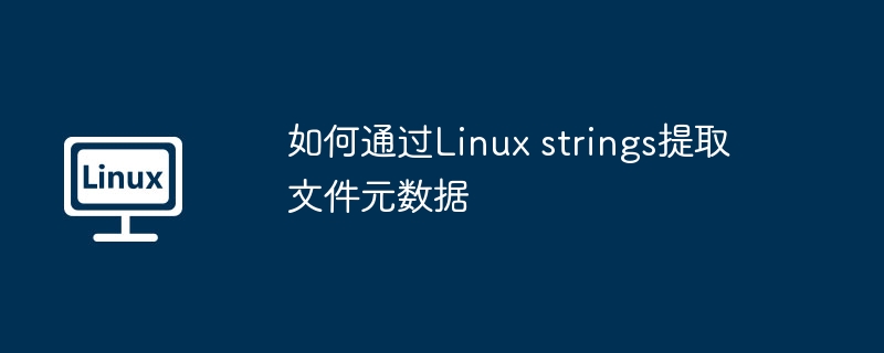 如何通过Linux strings提取文件元数据