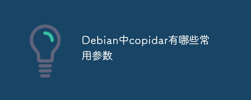 Debian中copidar有哪些常用参数