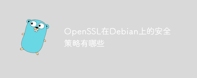 OpenSSL在Debian上的安全策略有哪些