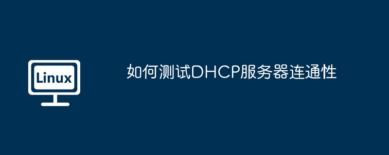 如何测试DHCP服务器连通性