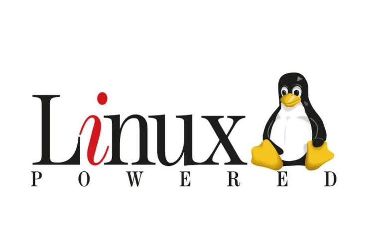 如何理解linux文件权限？linux中chmod命令怎么使用？