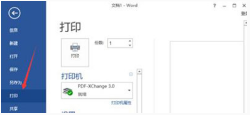  win10系统Word文档无法打印出图片的方法