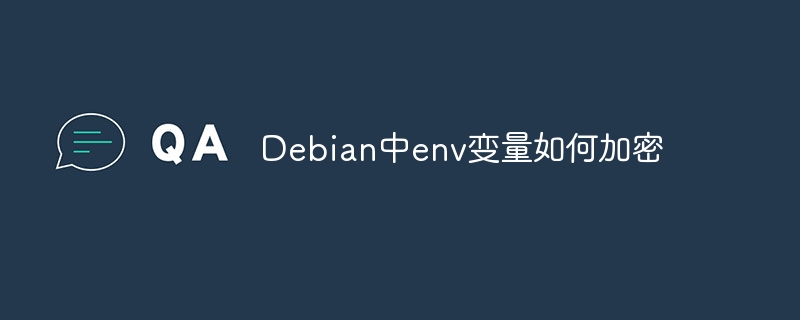 Debian中env变量如何加密
