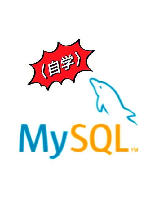 MySQL中JSON操作详解 JSON字段在查询中的处理方法