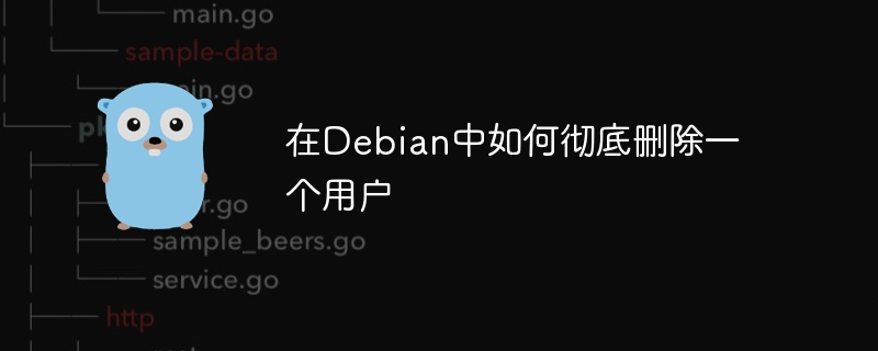 在Debian中如何彻底删除一个用户